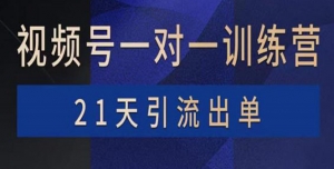 视频号训练营:带货,涨粉,直播,游戏,四大变现新方向,21天引流出单-司马网创基地