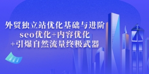 外贸独立站优化基础与进阶,seo优化+内容优化+引爆自然流量终极武器-司马网创基地