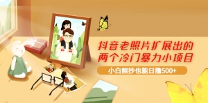 抖音老照片扩展出的两个冷门暴力小项目，小白照抄也能日撸500+-司马网创基地