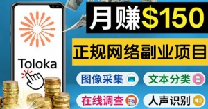 正规网络副业赚钱平台Toloka，利用业余时间月赚150美元-司马网创基地