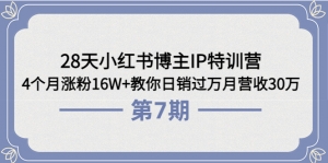 28天小红书博主IP特训营《第6+7期》4个月涨粉16W+教你日销过万月营收30万-司马网创基地