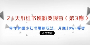21天小红书涨粉变现营（第3期）：带你掌握小红书爆款玩法，月赚10W+秘密-司马网创基地