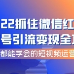 2022抓住微信红利，视频号引流变现全攻略，人人都能学会的短视频运营玩法