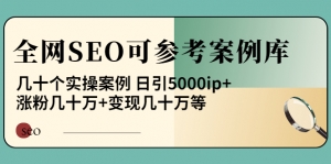 《全网SEO可参考案例库》几十个实操案例 日引5000ip+涨粉百W+变现几十W等!-司马网创基地