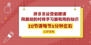 拼多多运营必修课:20节课每节5分钟左右,用最短的时间学习最有用的知识-司马网创基地