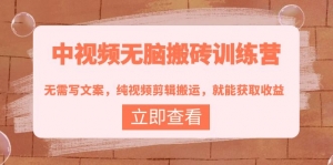 中视频无脑搬砖训练营:无需写文案,纯视频剪辑搬运,就能获取收益!-司马网创基地