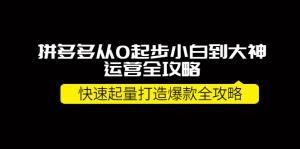 拼多多从0起步小白到大神运营全攻略,快速起量打造10W+爆款全攻略!-司马网创基地