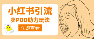 利用小红书卖拼多多助力,日赚100+,顺便还能引个流【视频课程】-司马网创基地