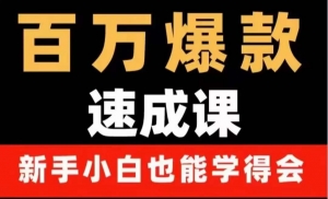 百万爆款速成课:用数据思维做爆款,小白也能从0-1打造百万播放视频-司马网创基地