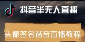 最近火爆的抖音头像签名设计半无人直播直播项目:直播教程+素材+直播话术-司马网创基地