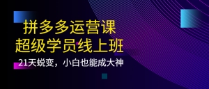 拼多多运营课:超级学员线上班,21天蜕变,小白也能成大神-司马网创基地
