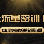 2022秋秋线上流量密训16.0：包含 暴力引流10W+中小卖家流量破局技巧 等等！