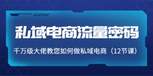 私域电商流量密码:千万级大佬教您如何做私域电商(12节课)-司马网创基地