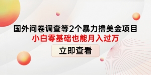 国外问卷调查等2个暴力撸美金项目，小白零基础也能月入过万-司马网创基地