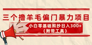 外面卖998的三个撸羊毛偏门暴力项目，小白零基础照抄日入300+（附带工具）-司马网创基地