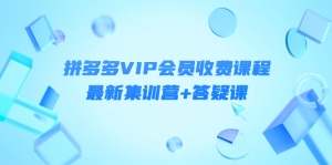 【价值3299元】某社群·拼多多VIP会员收费课程,最新集训营+答疑课-司马网创基地