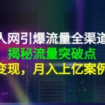 天地人网引爆流量全渠道增长：揭秘流量突然破点，流量变现，月入上亿案例