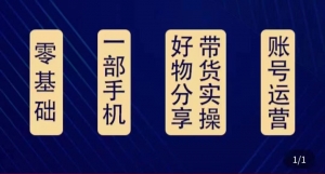 好物分享高阶实操课：0基础一部手机做好好物分享带货（24节课）-司马网创基地
