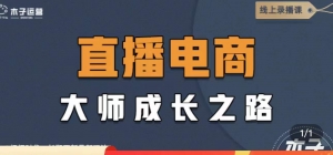 直播电商高手成长之路：教你成为直播电商大师，玩转四大板块（25节）-司马网创基地