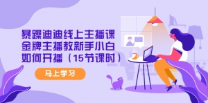 暴躁迪迪线上主播课,金牌主播教新手小白如何开播(15节课时)-司马网创基地