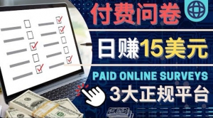 参与付费调查，利用自己的空闲时间完成问卷，适合新手的平台，日赚15美元-司马网创基地