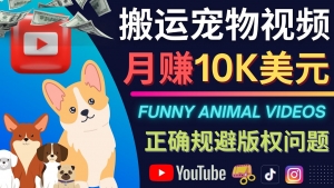 搬运TIKTOK视频到YouTube，并进行二次创作，月赚1万美元以上-司马网创基地