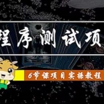 小程序测试项目 从星图 搞笑 网易云 实拍 单品爆破 抖音抖推猫小程序变现