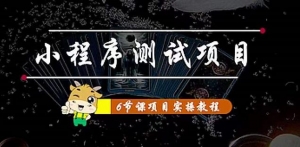 小程序测试项目 从星图 搞笑 网易云 实拍 单品爆破 抖音抖推猫小程序变现-司马网创基地