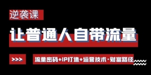 让普通人自带流量的逆袭课:流量密码+IP打造+运营技术·财富路径-司马网创基地