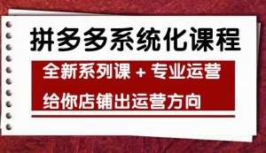 车神陪跑,拼多多系统化课程,全新系列课+专业运营给你店铺出运营方向-司马网创基地