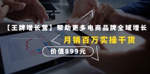 【王牌增长营】帮助更多电商品牌全域增长,月销百万实操干货,价值899元-司马网创基地