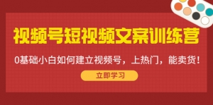 视频号短视频文案训练营:0基础小白如何建立视频号,上热门,能卖货!-司马网创基地