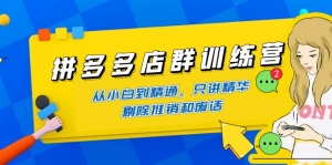 拼多多店群训练营:从小白到精通,只讲精华,剔除推销和废话-司马网创基地