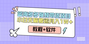 人人都能操作的蓝海多多视频带货项目 小白无脑搬运月入10000+(教程+软件)-司马网创基地