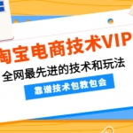 淘宝电商技术VIP，全网最先进的技术和玩法，靠谱技术包教包会（更新115）