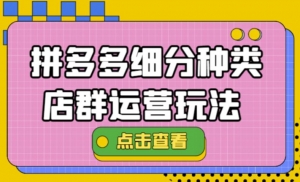 拼多多细分种类店群运营玩法3.0,11月最新玩法,小白也可以操作-司马网创基地