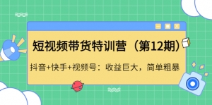 短视频带货特训营（第12期）抖音+快手+视频号：收益巨大，简单粗暴！-司马网创基地
