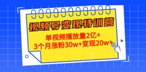 20天视频号变现特训营：单视频播放量2亿+3个月涨粉30w+变现20w+-司马网创基地