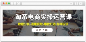 淘系电商实操运营课:数据分析-流量获取-爆款打造 各种玩法(63节)-司马网创基地