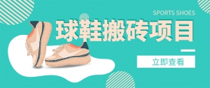 外面收费998的球鞋搬砖项目,月入5000+【详细教程+资源渠道】-司马网创基地