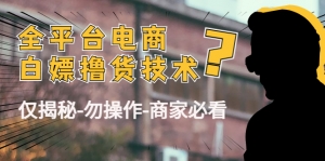 外面收费2980的全平台电商白嫖撸货技术（仅揭秘-勿操作-商家必看）-司马网创基地