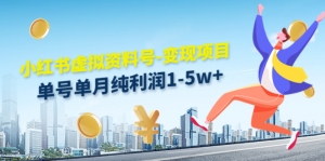 小红书虚拟资料号-变现项目：单号单月纯利润1-5w+实操玩法分享-司马网创基地