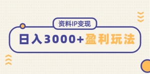 资料IP变现,能稳定日赚3000起的持续性盈利玩法-司马网创基地