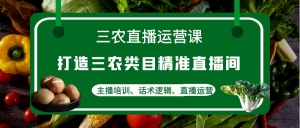 三农直播运营课:打造三农类目精准直播间,主播培训、话术逻辑、直播运营-司马网创基地