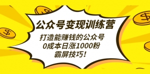 公众号变现训练营（第3期）打造能赚钱的公众号，0成本日涨1000粉，霸屏技巧-司马网创基地