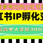 某收费培训-小红书IP孵化变现：做有影响力的小红书博主，最高单人变现300w+