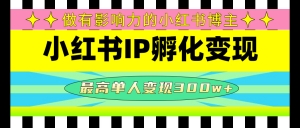 某收费培训-小红书IP孵化变现:做有影响力的小红书博主,最高单人变现300w+-司马网创基地