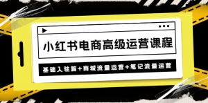 小红书电商高级运营课程:基础入驻篇+商城流量运营+笔记流量运营-司马网创基地