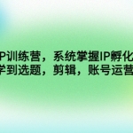 自然流IP训练营，系统掌握IP孵化全流程，也能学到选题，剪辑，账号运营经验