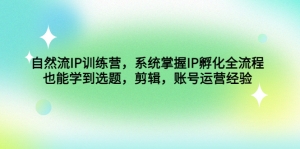 自然流IP训练营,系统掌握IP孵化全流程,也能学到选题,剪辑,账号运营经验-司马网创基地